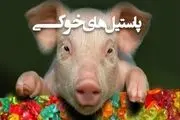  صحت و سقم واردات ژلاتین خوکی به ایران 