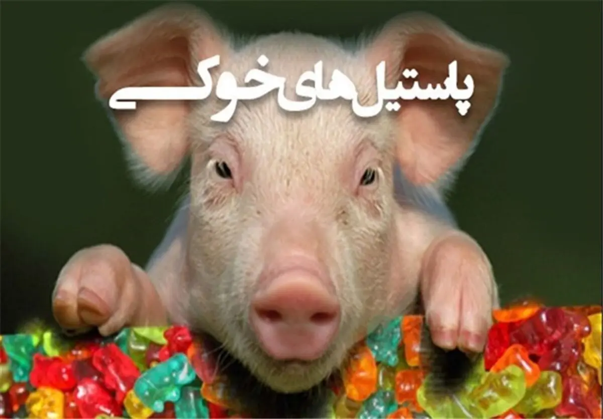  صحت و سقم واردات ژلاتین خوکی به ایران 
