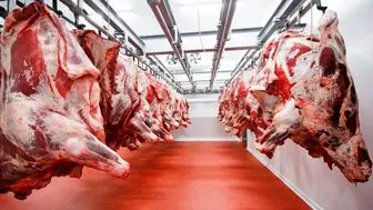 روزانه ۲۵۰ تن گوشت قرمز در بازار توزیع می‌شود
