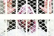 اسناد شکنجه زندانیان سیاسی در عربستان افشا شد