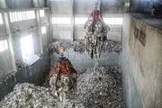سوزاندن زباله روش مناسبی برای مدیریت پسماند نیست