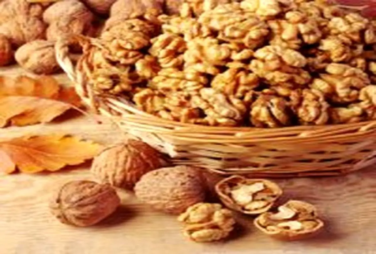 گردو بخوریم تا لاغر شویم؟