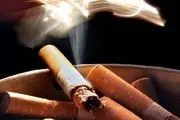 سیگار قاچاق، کمر تولید راشکست 