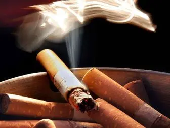 سیگار قاچاق، کمر تولید راشکست 