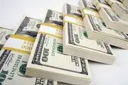 حرکت غیراقتصادی دولت در بازار ارز