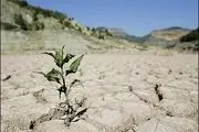 خشکسالی زندگی 7 میلیون افغان را تهدید می‌کند