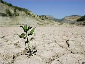 خشکسالی زندگی 7 میلیون افغان را تهدید می‌کند