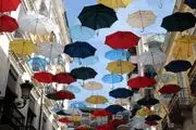 گزارش تصویری; محیط های رنگارنگ زیبا