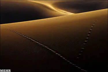 n00082149-r-b-001