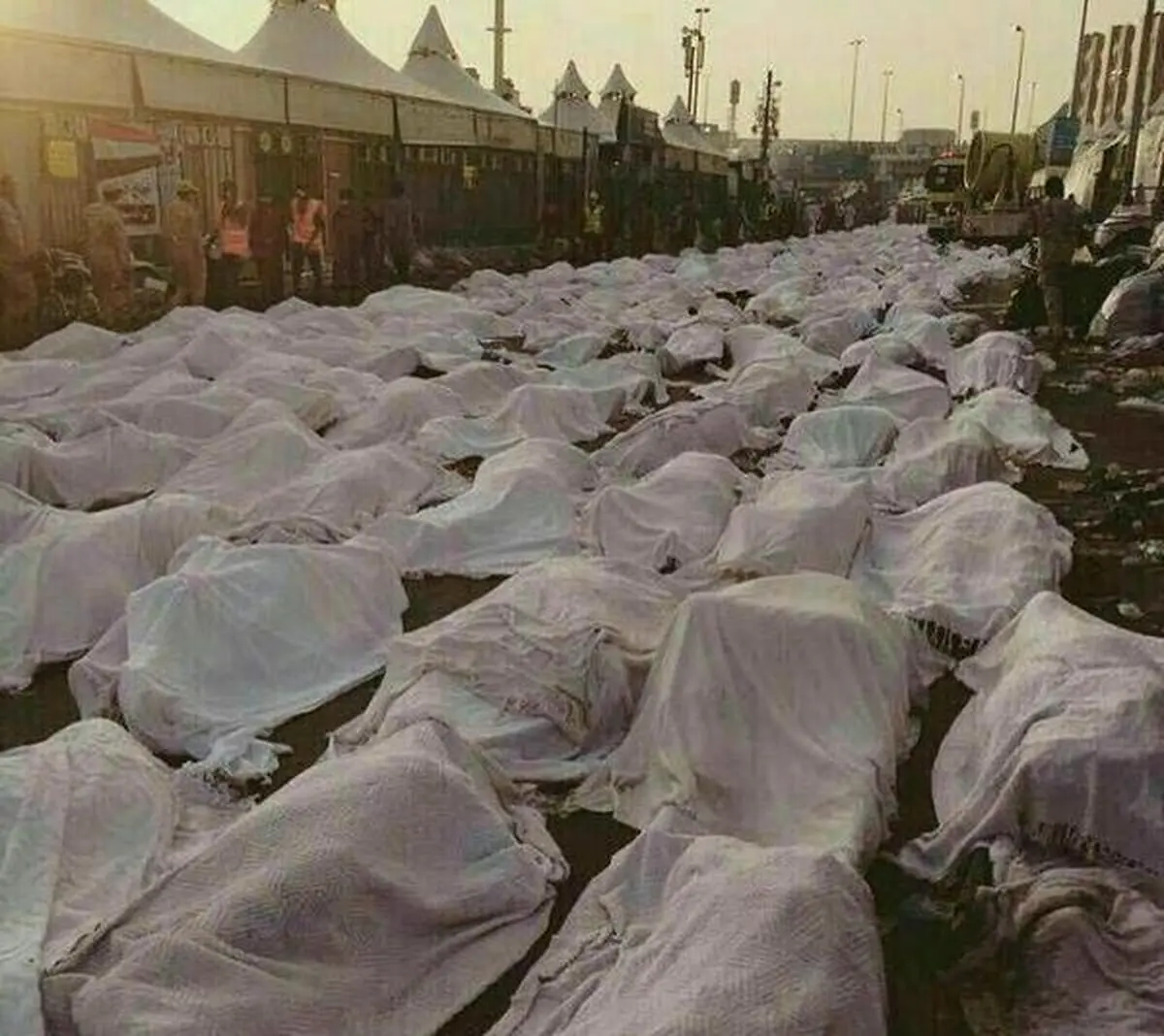 فاجعه منا باید در مجامع جهانی پیگیری شود 