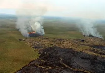 آتش بی‌توجهی سازمان محیط زیست «تالاب هشیلان» را سوزاند