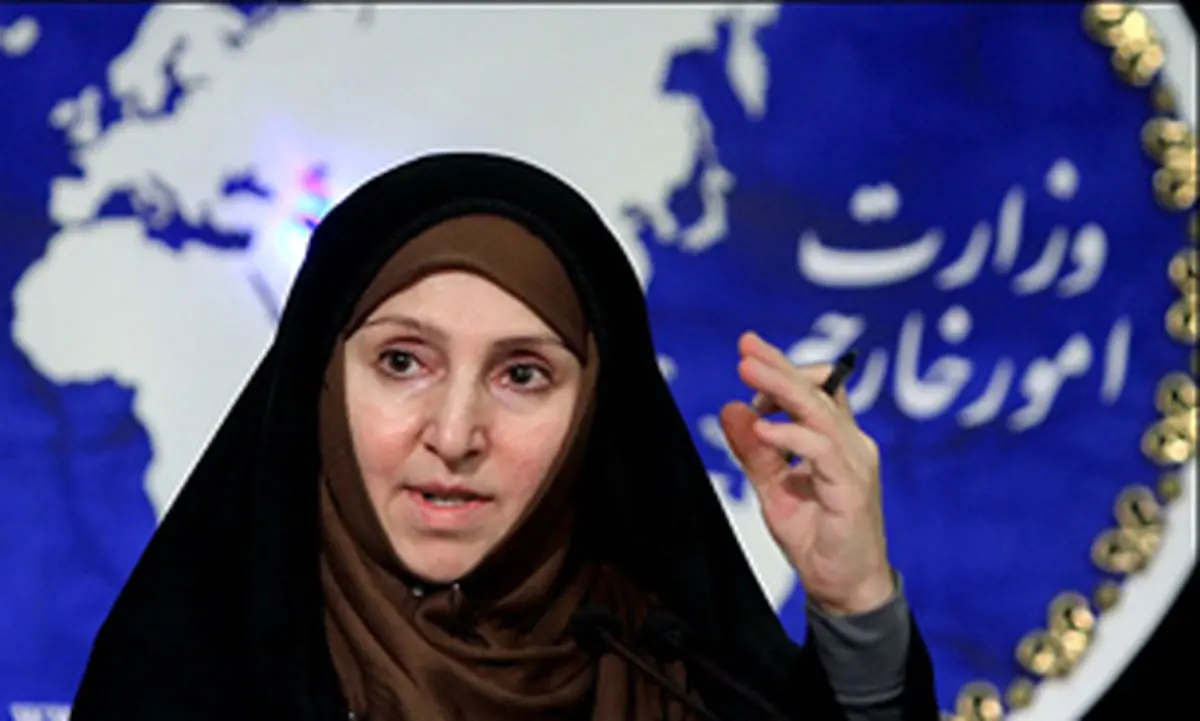 واکنش افخم به قطعنامه حقوق بشر ایران
