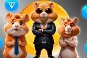 
اطلاعیه همستر کامبت درباره شرایط دریافت ایردراپ+ راهنمایی