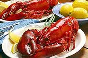 خوردن کدام آبزیان دریایی حلال است؟