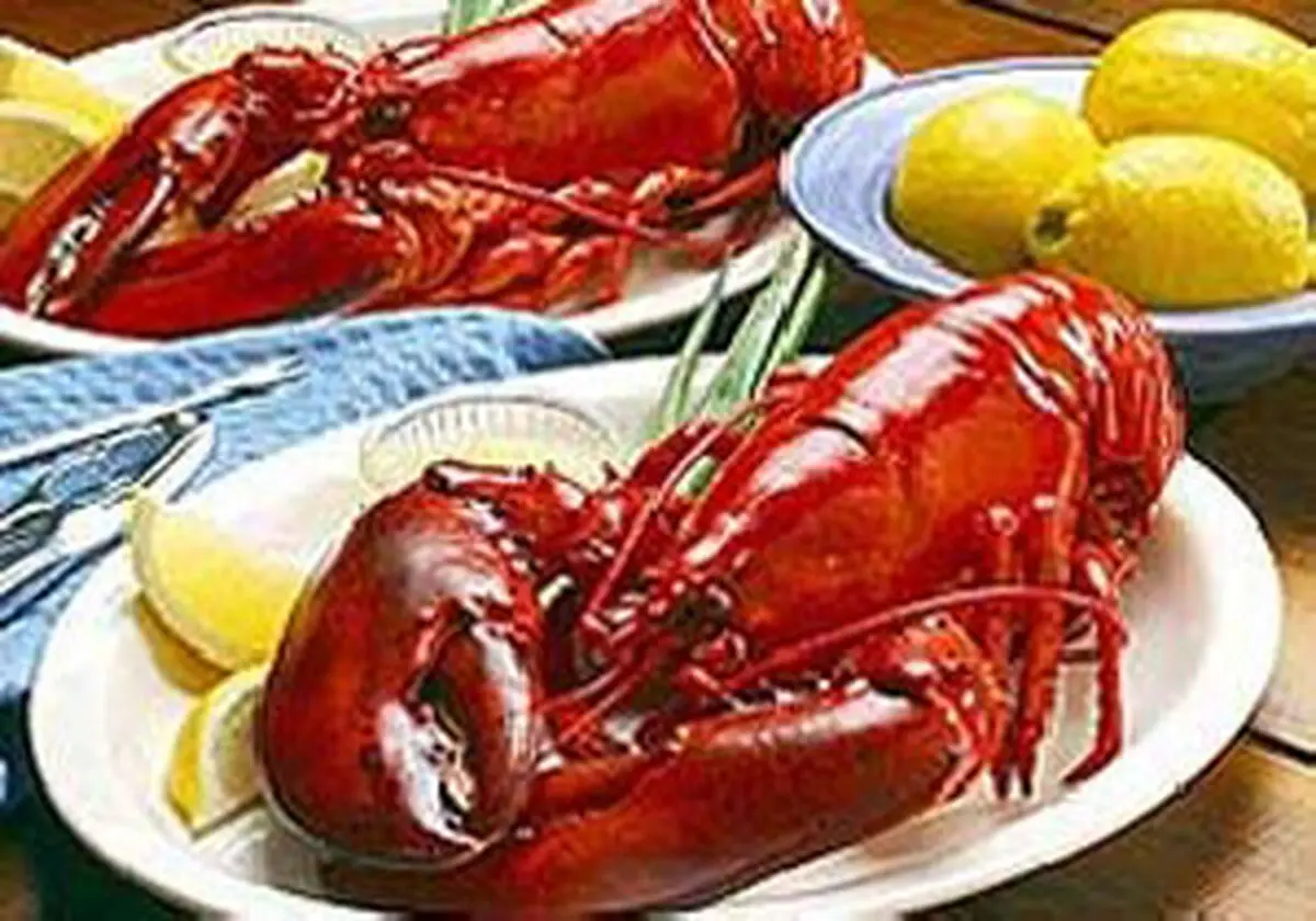 خوردن کدام آبزیان دریایی حلال است؟