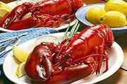 خوردن کدام آبزیان دریایی حلال است؟