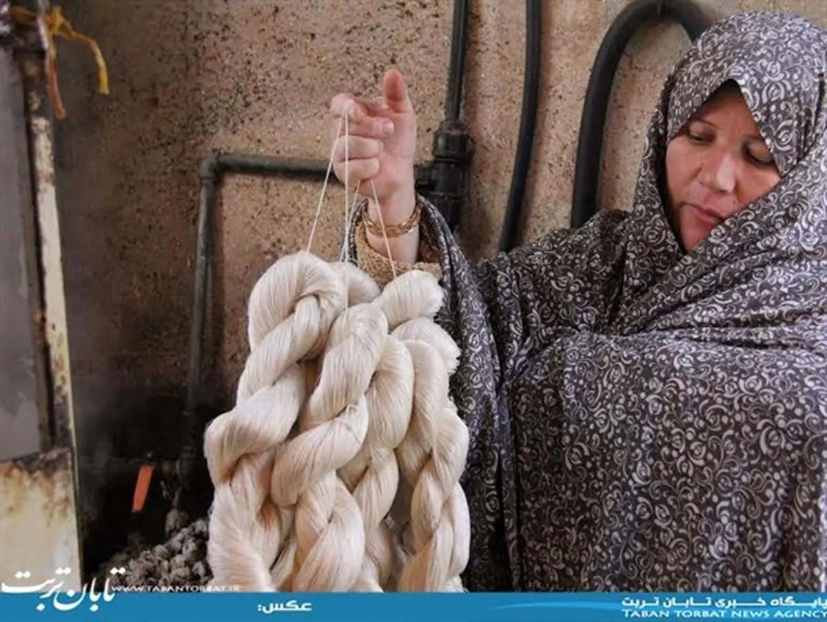 کارگاههای ابریشم کشی تربت حیدریه