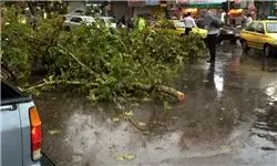 جزئیاتی از حوادث توفان امروز تهران