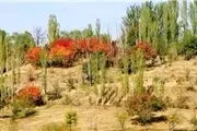 این پاییز زیبا را از دست ندهید+ تصاویر