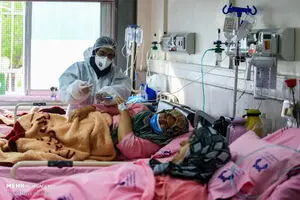 سهم دست های آلوده در انتقال عفونت بیمارستانی
