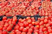 قیمت گوجه فرنگی به ۴ هزار تومان کاهش یافت
