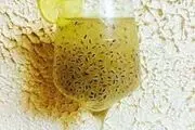 
نسخه طب سنتی برای خنک کردن بدن