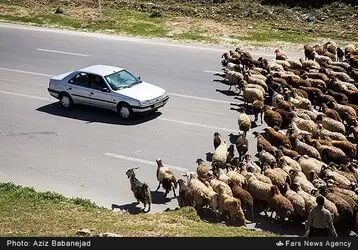 کوچ عشایر