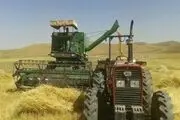 55 هزار تن گندم در بیجار خریداری شده است