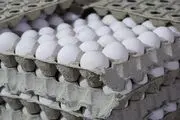 تخم مرغ در میادین تره بار کمتر از نرخ مصوب عرضه می‌شود
