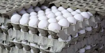 تخم مرغ در میادین تره بار کمتر از نرخ مصوب عرضه می‌شود
