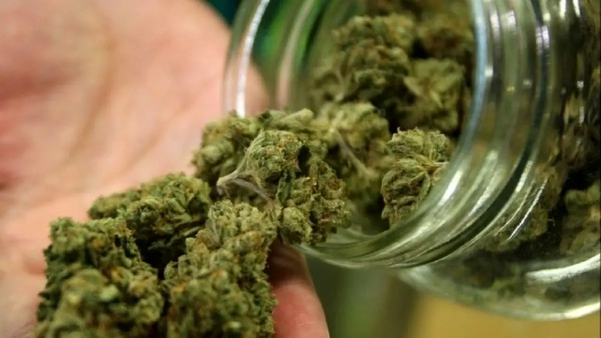 «گل» حتی از «حشیش» هم ویران‌کننده‌تر است