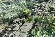 طوفان شن در کهنوج/پنج روستا دچار خسارت شده است