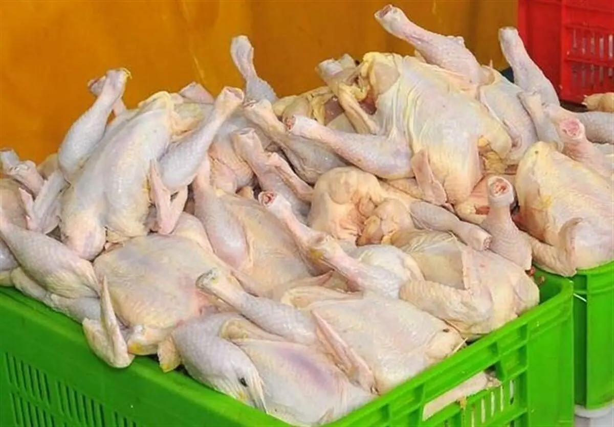 قیمت مرغ در سراشیبی قرار گرفت
