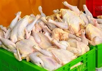 قیمت مرغ تا پایان سال تغییری ندارد
