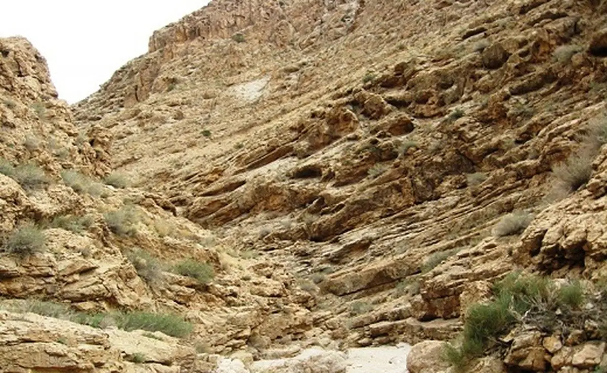 
آشنایی با منطقه شکار ممنوع تپال + تصاویر

