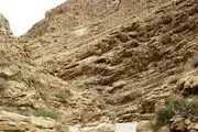 
آشنایی با منطقه شکار ممنوع تپال + تصاویر
