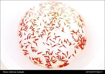 ماهی