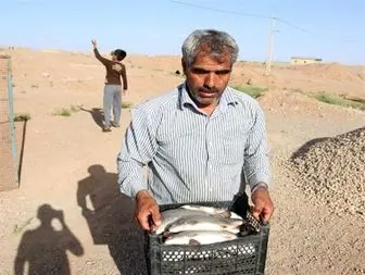 پرورش و صید ماهی دو بار در سال در صورت حمایت مالی دولت