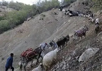  جاده‌های عشایری در شهرستان چرام بازگشایی شد 