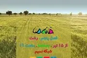 یخ روابط خانوادگی در 