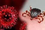 ابتلای ۴ ایرانی به یک بیماری خطرناک؛ مرگ یک نفر تایید شد | با این علائم سریعا به پزشک مراجعه کنید
