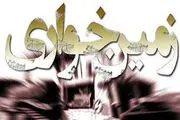 زمین خواران چگونه زمین خواری می کنند؟