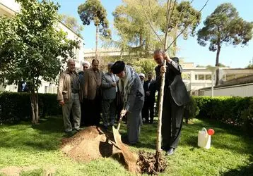 کاشت نهال رهبر