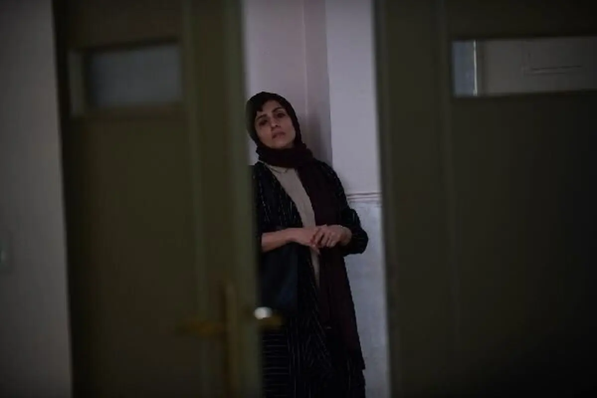 «تشک» به جشنواره هلند می رود