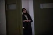 «تشک» به جشنواره هلند می رود