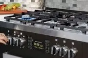 قیمت انواع اجاق گاز در بازار
