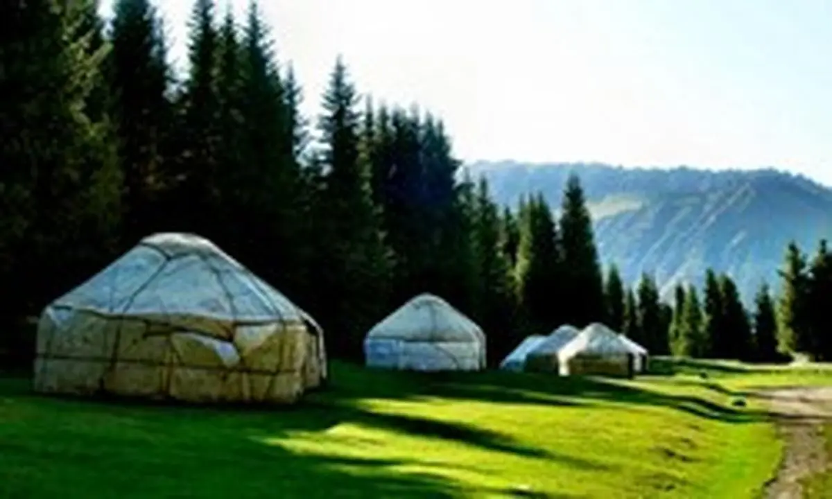 تحول دیجیتالی در دنیای گردشگری