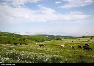 طبیعت