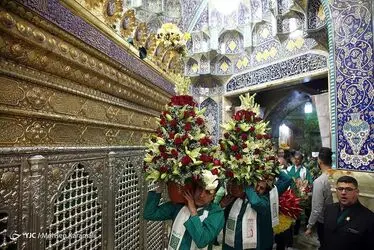 گل آرایی ضریح مطهر حضرت معصومه(س)/ گزارش تصویری 
