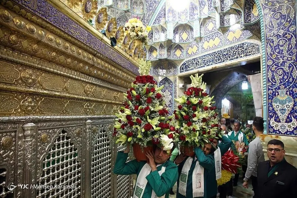 گل آرایی ضریح مطهر حضرت معصومه(س)/ گزارش تصویری 